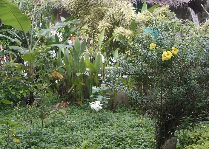 Anitha'S Garden Stay Kovalam