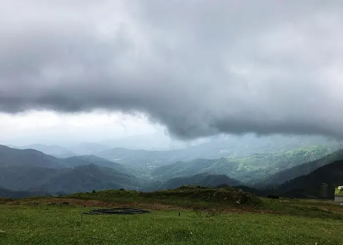Pine View Homestay Vagamon