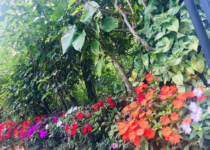 Lizmerrycasa Homestay Munnar