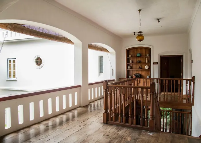Kerala Dog Friendly Hotels