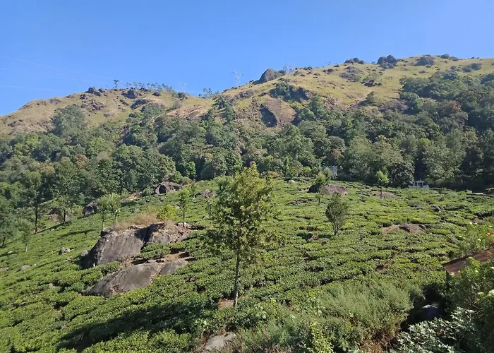 Tea Dale - All Rooms With Tea Estate View Munnar